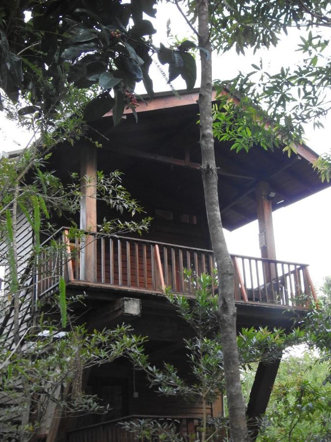Wilpattu Tree House Bed and Breakfast Nochchiyagama Eksteriør billede
