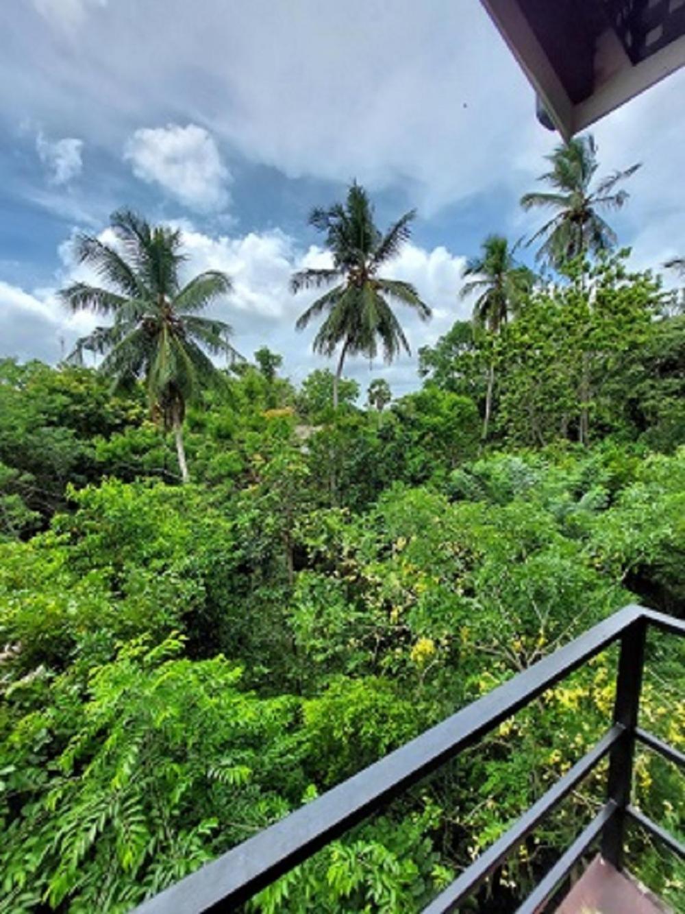 Wilpattu Tree House Bed and Breakfast Nochchiyagama Eksteriør billede
