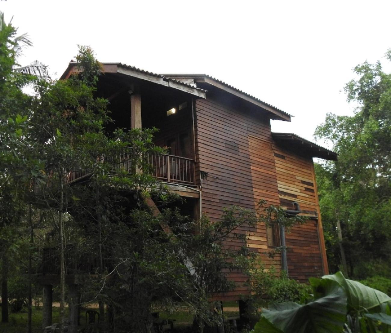 Wilpattu Tree House Bed and Breakfast Nochchiyagama Eksteriør billede