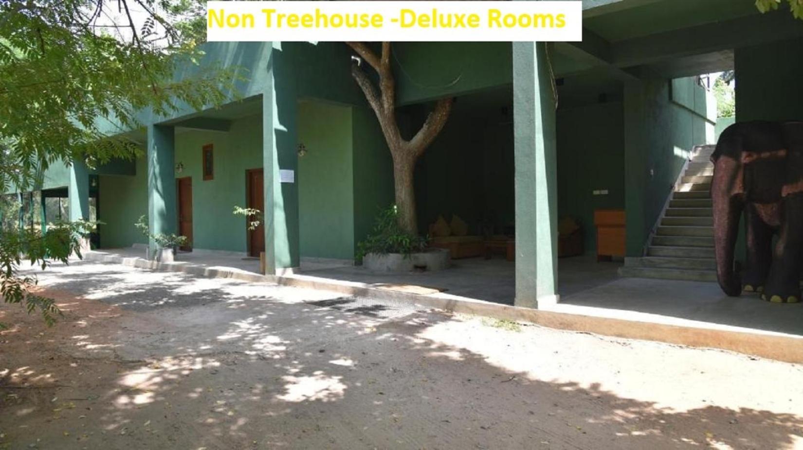 Wilpattu Tree House Bed and Breakfast Nochchiyagama Eksteriør billede