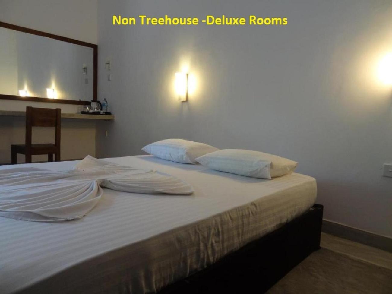 Wilpattu Tree House Bed and Breakfast Nochchiyagama Eksteriør billede