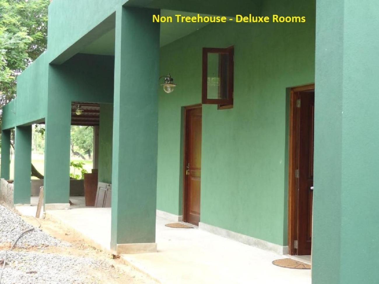 Wilpattu Tree House Bed and Breakfast Nochchiyagama Eksteriør billede