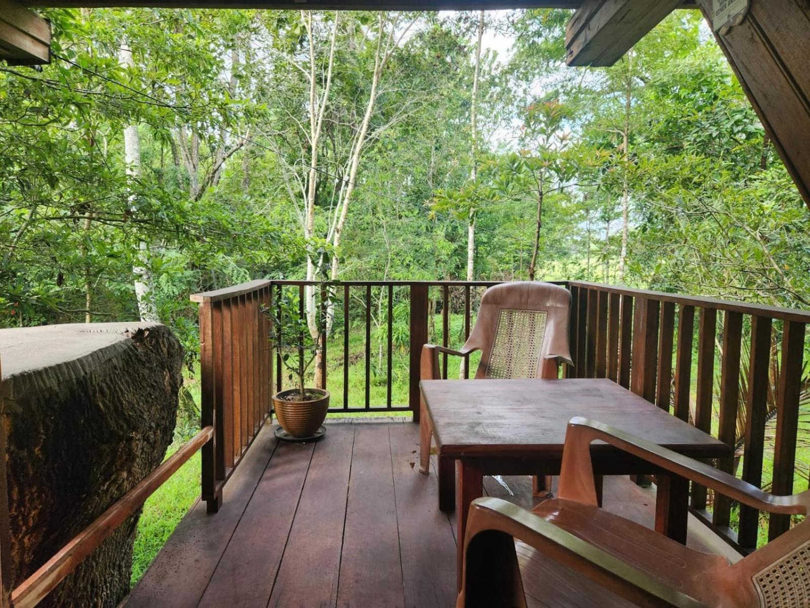 Wilpattu Tree House Bed and Breakfast Nochchiyagama Eksteriør billede
