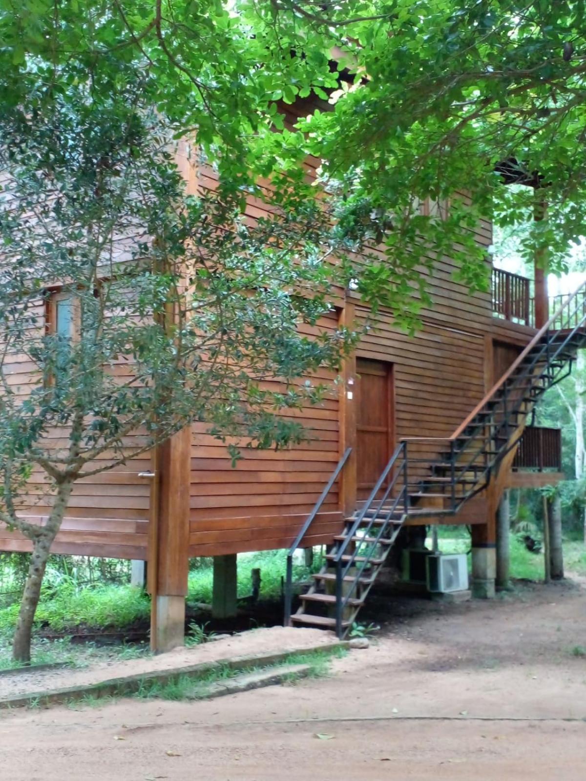 Wilpattu Tree House Bed and Breakfast Nochchiyagama Eksteriør billede