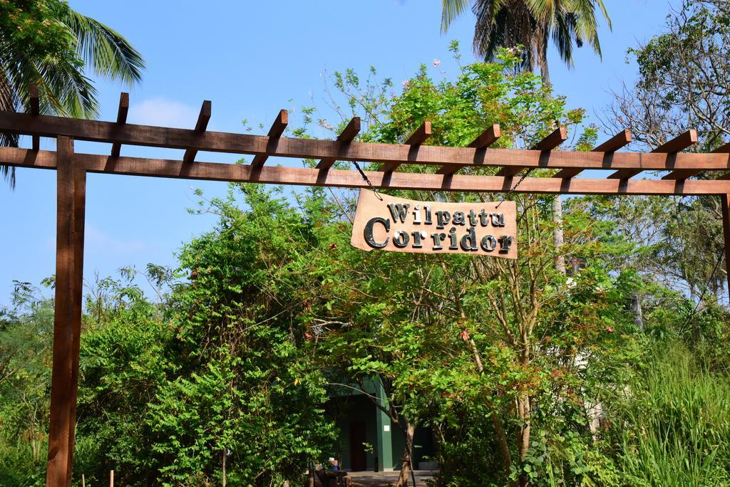 Wilpattu Tree House Bed and Breakfast Nochchiyagama Eksteriør billede