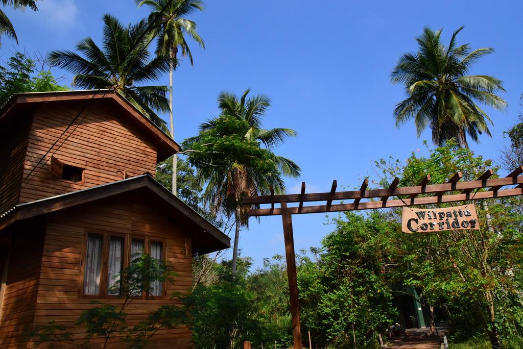 Wilpattu Tree House Bed and Breakfast Nochchiyagama Eksteriør billede