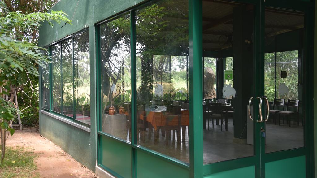 Wilpattu Tree House Bed and Breakfast Nochchiyagama Eksteriør billede